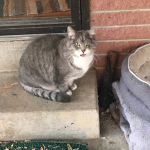 Meet your Posher, Elegant